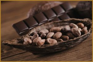 history of chocolate