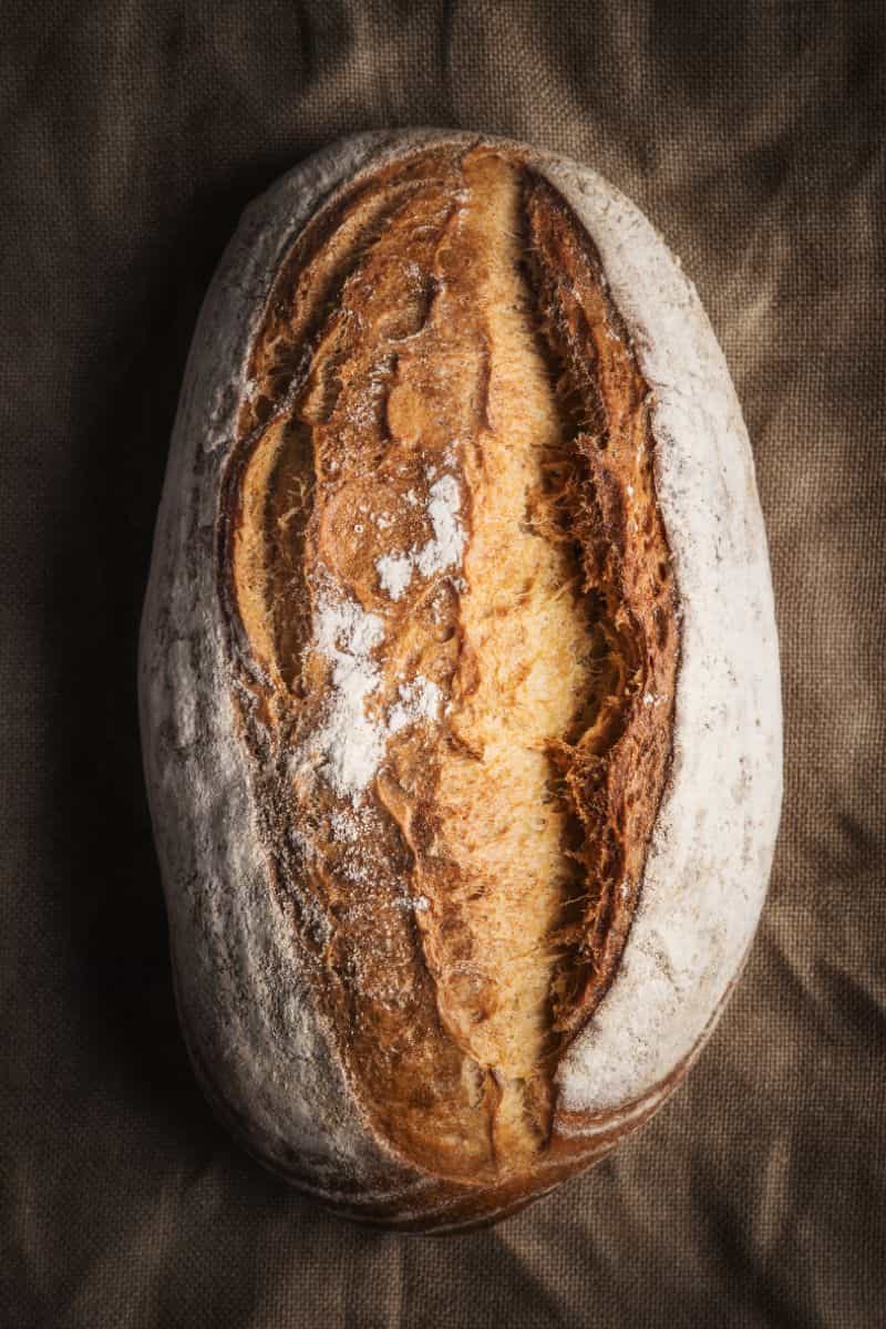 crusty vienna cob loaf